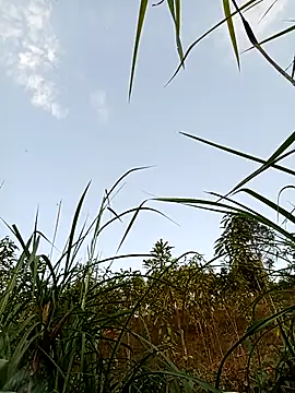 -Chua-90 online show from 02/21/26, 10:17