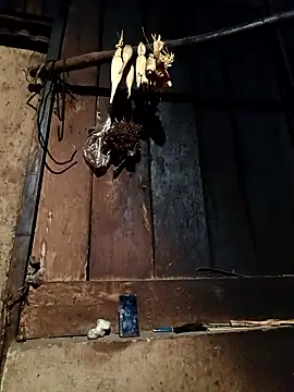 -Chua-90 online show from 01/13/26, 11:36