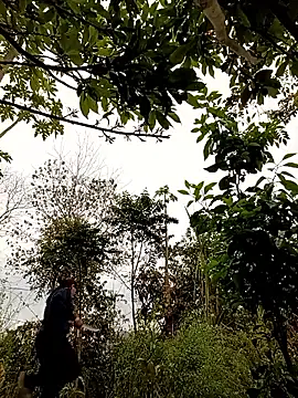 -Chua-90 online show from 02/25/26, 10:37