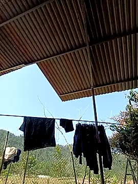 -Chua-90 online show from 03/01/26, 03:17