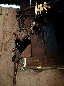 -Chua-90 online show from 02/09/26, 11:36