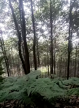 thuy-kieu online show from 01/09/26, 01:56