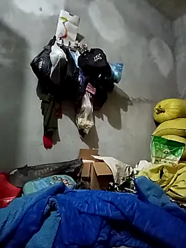 vangkt-cute online show from 11/27/25, 06:41