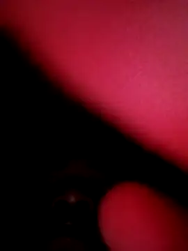 indiandesicpl2026 online show from 11/24/25, 09:04