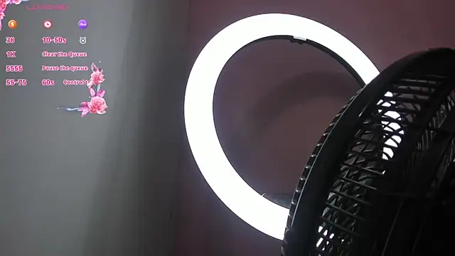 NaylaAbadi online show from 12/04/25, 12:26