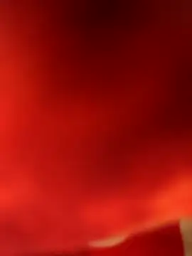 Ragner-6 9 online show from 03/09/26, 08:01