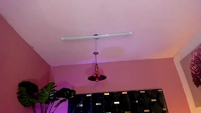 Velvet Dreamss online show from 03/26/26, 11:41