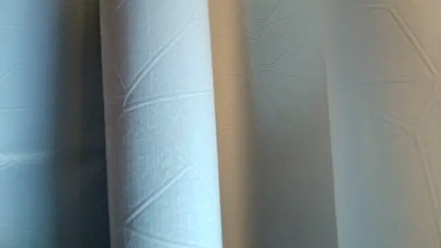 LilyFox t online show from 11/11/25, 01:28