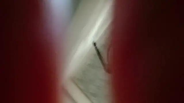 Natali-Gucci online show from 11/12/25, 10:02