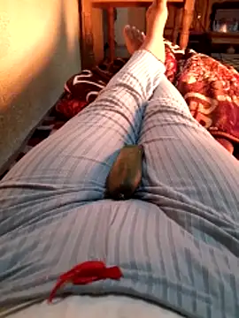 Tota sexi online show from 12/04/25, 11:31