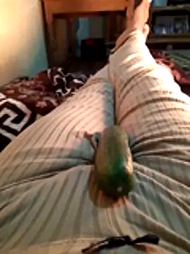 Tota sexi online show from 11/28/25, 10:48