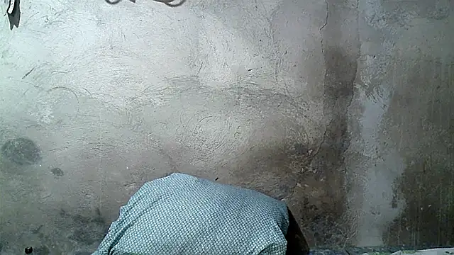 xwindyxxx online show from 03/07/26, 09:27