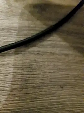 MaikBuoy online show from 02/15/26, 12:11