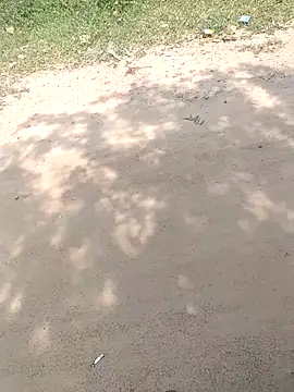 Snapshot of summa_renu chatting on 11/15/25, 05:33 summa renu online show from 11/15/25, 05:33