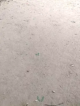 Snapshot of summa_renu chatting on 11/14/25, 07:23 summa renu online show from 11/14/25, 07:23