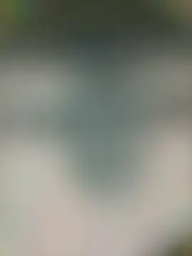 piggylatino online show from 04/18/26, 05:48