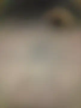 piggylatino online show from 02/02/26, 06:01