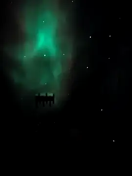 arcacsel online show from 11/24/25, 10:54