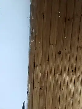 la beba20 online show from 01/11/26, 03:57