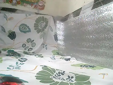 loriepinay46 online show from 01/08/26, 12:44