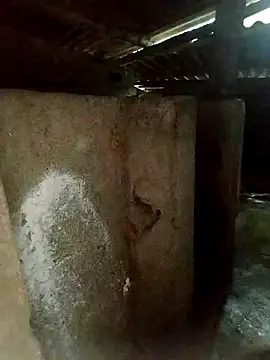 gugu0022 online show from 01/10/26, 10:21