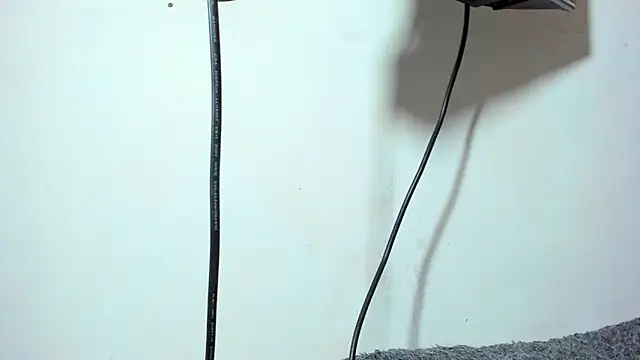 ZeusBrant online show from 04/15/26, 07:58