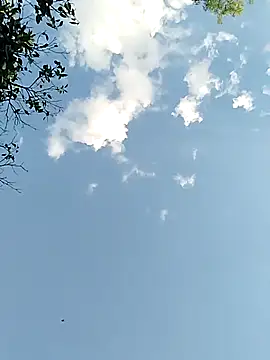 joselo2217 online show from 11/25/25, 09:15