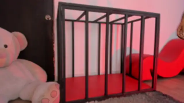 SnakeMuse online show from 12/17/25, 03:44