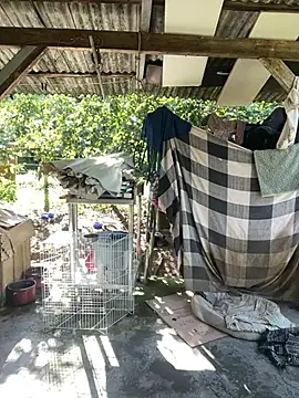 Monahliza online show from 02/11/26, 11:32