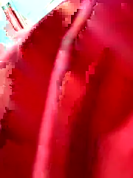 julianlondo111 online show from 02/24/26, 06:53