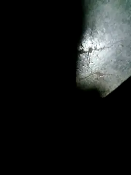 raju423204 online show from 02/15/26, 01:06