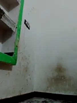 Bigg bhabi online show from 01/12/26, 11:31