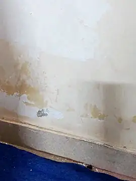 Asha devi90 online show from 04/12/26, 03:59