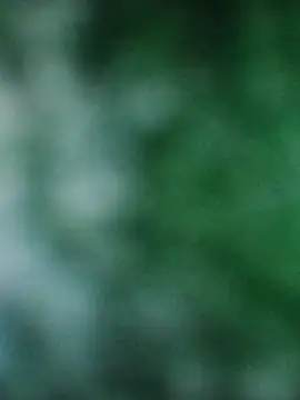 Rouse hot  online show from 12/20/25, 03:20