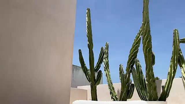 alex islivee online show from 06/05/26, 06:57