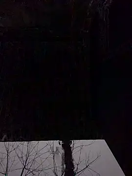 pitty mymi online show from 02/23/26, 11:16