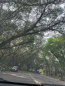 sexyayeshadesi online show from 11/20/25, 05:30