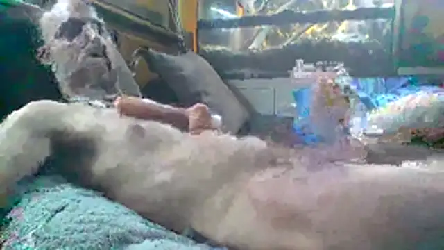 coatch1111 online show from 01/09/26, 03:41