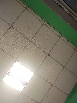 Snapshot of platone09 chatting on 01/08/26, 03:51 platone09 online show from 01/08/26, 03:51