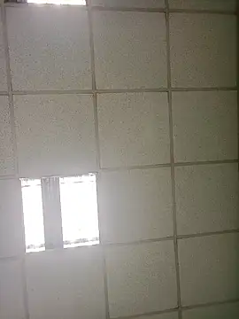 Snapshot of platone09 chatting on 01/16/26, 01:59 platone09 online show from 01/16/26, 01:59