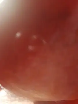 Ratacrocante online show from 12/19/25, 08:55