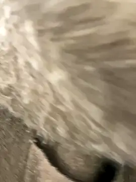 yiyi0316 online show from 11/28/25, 05:29