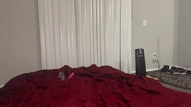 stellakobra online show from 03/24/26, 07:52