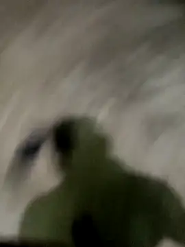 Snapshot of spermc chatting on 11/27/25, 04:18 spermc online show from 11/27/25, 04:18