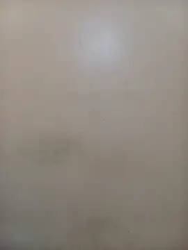 StormzyLeila online show from 12/01/25, 04:02