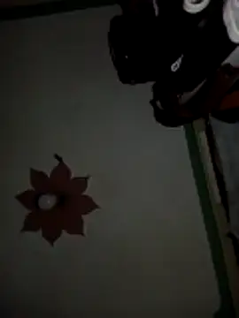 honeypot224 online show from 03/15/26, 03:57