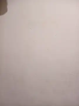 honeypot224 online show from 04/09/26, 03:19