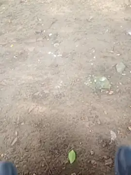 Jeison0323 online show from 01/09/26, 08:49