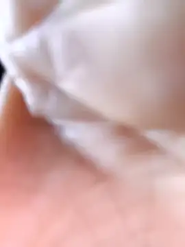 Cat-meow online show from 11/25/25, 02:45