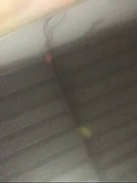 sexguruxxx online show from 11/24/25, 02:39